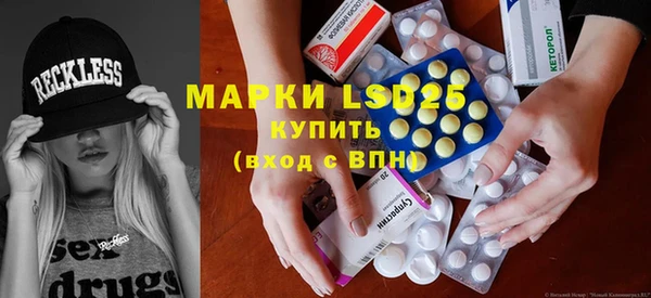 стаф Вязьма